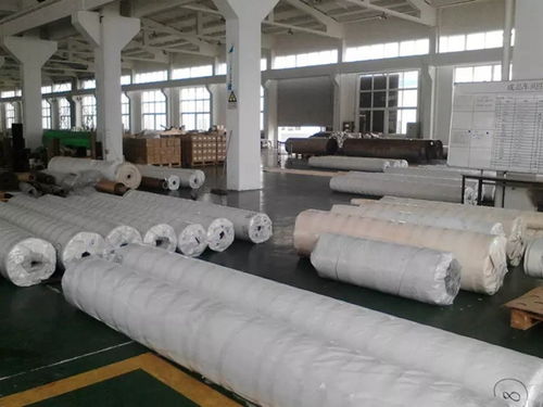 膜材加工定制：引领未来建筑新风尚