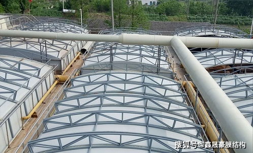 《揭秘膜材：新时代建筑材料中的璀璨明星》(图1)