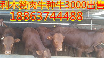 8000牛高强度膜材:揭秘未来建筑材料的革新力量(图1) 8000牛高强度膜材:揭秘未来建筑材料的革新力量(图1)