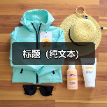 标题（纯文本）（图2）