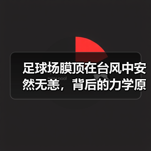 足球场膜顶在台风中安然无恙,背后的力学原理(图2) 足球场膜顶在台风中安然无恙,背后的力学原理(图2)