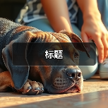 标题(图2) 标题(图2)