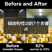 膜结构检测的7个关键点(图2) 膜结构检测的7个关键点(图2)
