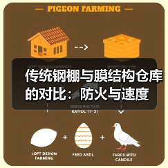 传统钢棚与膜结构仓库的对比:防火与速度(图3) 传统钢棚与膜结构仓库的对比:防火与速度(图3)