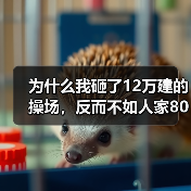 为什么我砸了12万建的操场,反而不如人家80万的?(图1) 为什么我砸了12万建的操场,反而不如人家80万的?(图1)