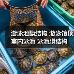游泳池膜结构 游泳馆顶 室内泳池 泳池膜结构保温 防结露设计 高湿环境膜材 恒温气膜(图3) 游泳池膜结构 游泳馆顶 室内泳池 泳池膜结构保温 防结露设计 高湿环境膜材 恒温气膜(图3)