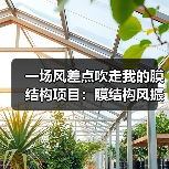 一场风差点吹走我的膜结构项目：膜结构风振 抗风设计 风洞试验 膜结构风振控制 附加索 扰流条 风压系数（图2）