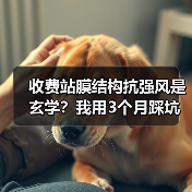 收费站膜结构抗强风是玄学?我用3个月踩坑后发现了真相(图1) 收费站膜结构抗强风是玄学?我用3个月踩坑后发现了真相(图1)