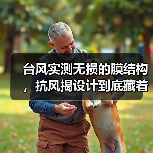 台风实测无损的膜结构,抗风揭设计到底藏着什么秘密?(图4) 台风实测无损的膜结构,抗风揭设计到底藏着什么秘密?(图4)