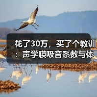 花了30万,买了个教训:声学膜吸音系数与体育馆应用实测(图3) 花了30万,买了个教训:声学膜吸音系数与体育馆应用实测(图3)