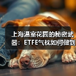 上海温室花园的秘密武器:ETFE气枕如何做到夏季隔热冬季保温,让植物成活率飙升?(图4) 上海温室花园的秘密武器:ETFE气枕如何做到夏季隔热冬季保温,让植物成活率飙升?(图4)