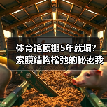 体育馆顶棚5年就塌?索膜结构松弛的秘密我全交代了(图3) 体育馆顶棚5年就塌?索膜结构松弛的秘密我全交代了(图3)