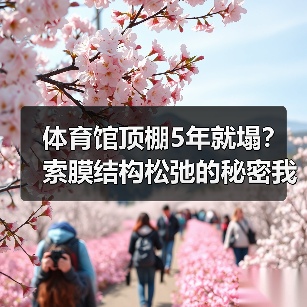 体育馆顶棚5年就塌?索膜结构松弛的秘密我全交代了(图4) 体育馆顶棚5年就塌?索膜结构松弛的秘密我全交代了(图4)