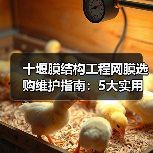 十堰膜结构工程网膜选购维护指南:5大实用方法解析(图2) 十堰膜结构工程网膜选购维护指南:5大实用方法解析(图2)