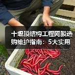 十堰膜结构工程网膜选购维护指南:5大实用方法解析(图4) 十堰膜结构工程网膜选购维护指南:5大实用方法解析(图4)