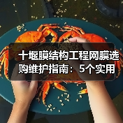 十堰膜结构工程网膜选购维护指南：5个实用技巧解析（图3）